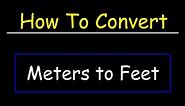 How To Convert Meters to Feet | Dimensional Analysis