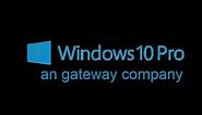 windows 10 Pro logo 2