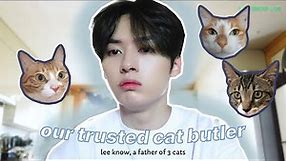 lee know is a cat butler (soonie, doongie and dori's dad)
