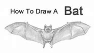 How to Draw a Bat (Vampire Bat)
