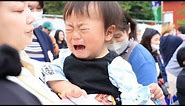 Sumo Showdown: Tears and triumphs return in Japan's Baby Crying Contest!