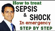 Sepsis and Septic Shock Treatment in Emergency, Sepsis Treatment Guidelines, Symptoms & Management