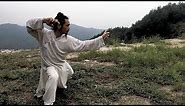 Wudang Long Hua Quan (60fps) - Master Chen Shiyu