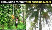 Areca Nut & Coconut Tree Climbing Ladder | Unipolar Agriculture Ladder