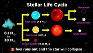 The Life and Death of Stars: White Dwarfs, Supernovae, Neutron Stars, and Black Holes