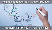 Alternative Pathway of Complement System