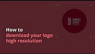 How to download your logo high resolution