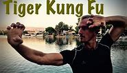 REAL Tiger Kung Fu Kata - YouTube CHALLENGE