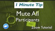 Zoom Tutorial: How to Mute All Participants