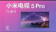Expensive! 75" Mi TV 5 Pro Hands On 9999元!小米电视5 Pro 75英寸体验｜凰家日常
