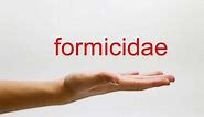 How to Pronounce formicidae - American English