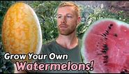 How I Grow Watermelons From Seed to Harvest - ft. Two Awesome Varieties