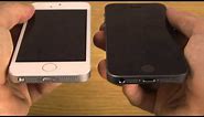 iPhone 5S: White or Black?