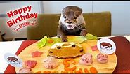 カワウソコタロー誕生日にサプライズケーキでフレンチパーティー！ Otter Kotaro Happy Birthday Cake Surprise Party!