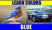 Learn Color BLUE - Things That Are Blue in Colour