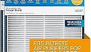 Filtrete F2 Room Air Purifier Filter, True HEPA Premium Allergen, Bacteria, and Virus, 13 in. x 8.2 in., Pack of 2, works with devices: FAP-C02WA-G2, FAP-C03BA-G2, FAP-T03BA-G2 and FAP-SC02N