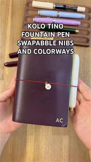 Love fountain pens with replaceable and swappable nibs #fountainpen #fountainpens #journal