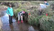 How to Measure Stream Flow