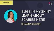 Bugs in My Skin? Gross! Learn More About Scabies Here