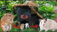 The Hamster House Flooded During The Storm | Rescue And Make A Real Wild Hamster Burrow