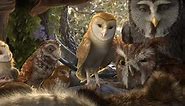 Legend of the Guardians: The Owls of Ga'Hoole | Trailer