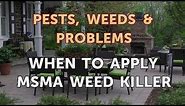 When to Apply MSMA Weed Killer