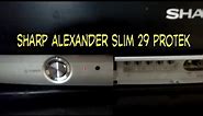 TV SHARP ALEXANDER SLIM 29 INCH PROTEK