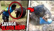 After EATING 12 People Alive This Sloth Bear Was FINALLY Caught!
