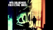 Noel Gallagher's High Flying Birds - If I Had A Gun (Official Audio)