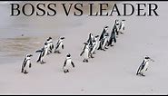 Boss VS Leader - What's The Difference between a boss and a leader