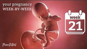 21 Weeks Pregnant - Natural Pregnancy Week-By-Week