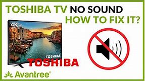 Toshiba TV No Sound (Digital Optical) - How to FIX?
