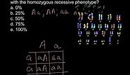 What is outcome of crossing homozygous recessive with heterozygous?