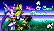 Freedom Planet 2 (Sprite Animation) - A Lilac & Carol Moment.