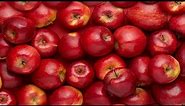 15 Reasons Why Apples are Incredibly Good for Your Health | Health And Nutrition