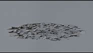Ground Cracks - Stock Footage Collection from ActionVFX