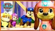 Best of Paw Patrol Toy Play Rescue Missions | PAW Patrol Compilation | Toy Pretend Play for Kids