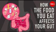 How the food you eat affects your gut - Shilpa Ravella