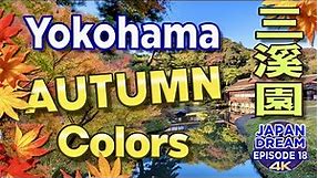 SANKEIEN Garden in YOKOHAMA! Best place for Autumn Colors!