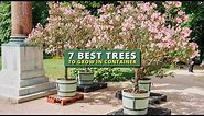 7 Best Trees To Grow in a Pot 💕- Container Garden Ideas 👍
