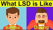 What is LSD Like? (Crazy Acid Trip Experience)