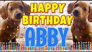 Happy Birthday Abby! ( Funny Talking Dogs ) What Is Free On My Birthday