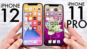 iPhone 12 Vs iPhone 11 Pro! (Comparison) (Review)