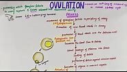 Ovulation | Easy Flowchart | Physiology