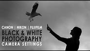 How to shoot Black & White with a Canon, Nikon or Fujifilm. Photography tips for beginners.