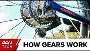 How Do Bike Gears Work? | Bicycle Gears Explained