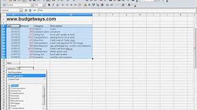 Create a Budget Worksheet by Using a Pivot Table
