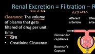 Renal Excretion of Drugs | Pharmacokinetics Lect 13