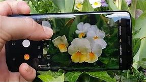 Samsung Galaxy S9: Putting The Camera to the Test