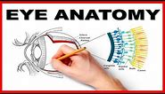 Eye Anatomy and Function - Made Easy